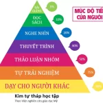 Kim Tu Thap Hoc Tap 1442